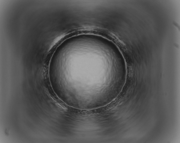 X0000091181208200709060947