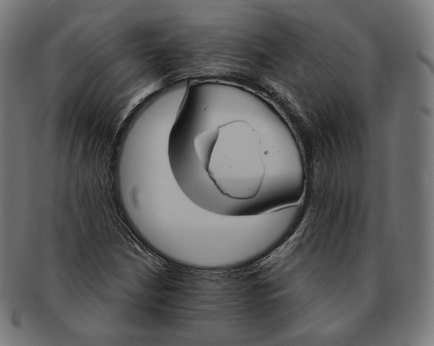 X0000091181210200709060947
