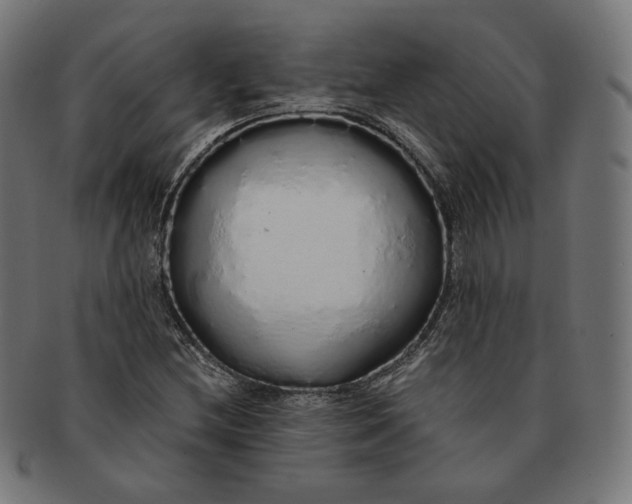 X0000091181212200709060947