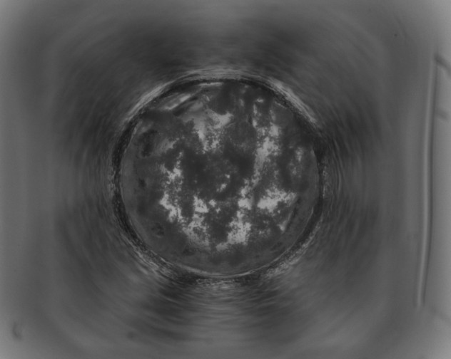 X0000091181213200709060947