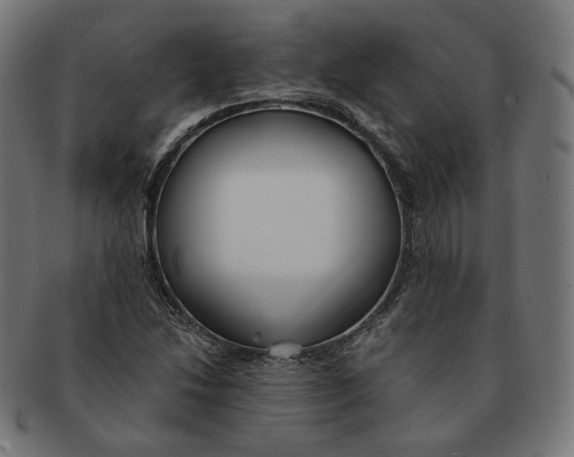 X0000091181214200709060947