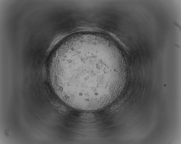 X0000091181215200709060947