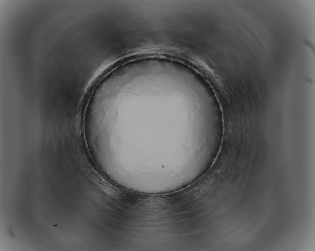 X0000091181216200709060947