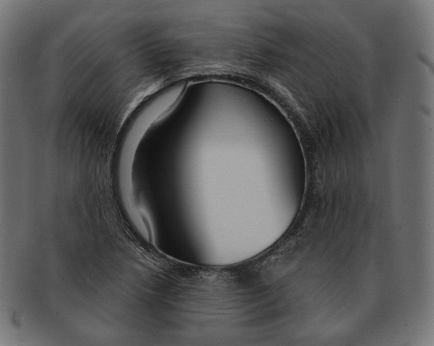 X0000091181218200709060947