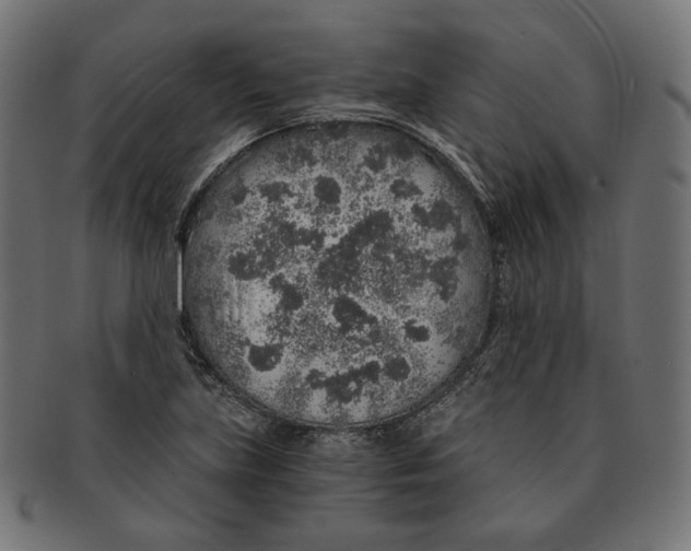 X0000091181219200709060947