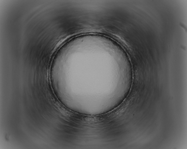 X0000091181220200709060947