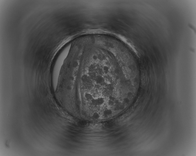 X0000091181221200709060947