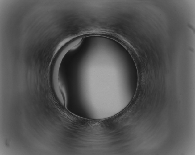 X0000091181222200709060947