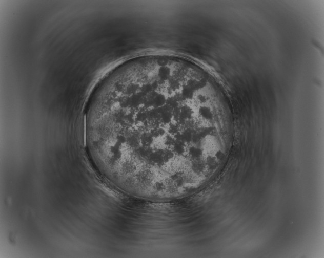 X0000091181223200709060947