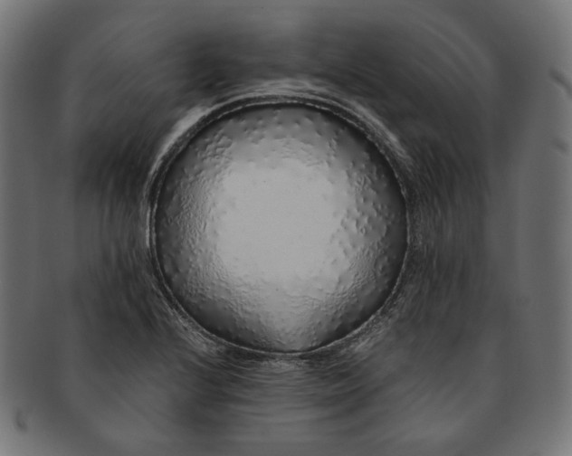 X0000091181224200709060947