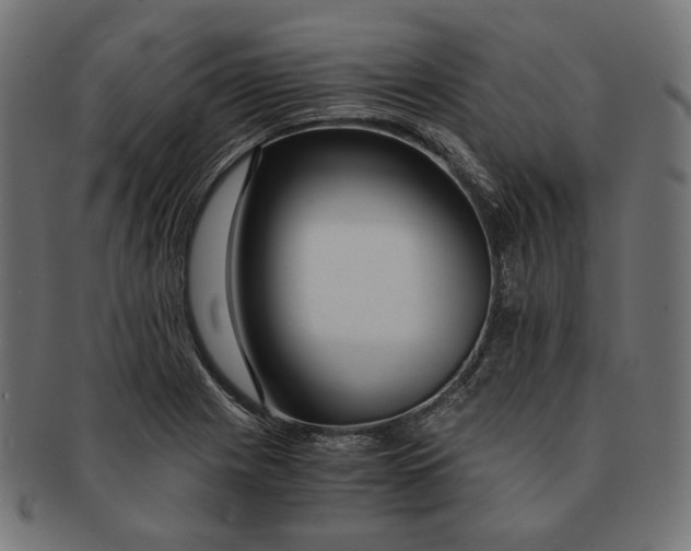 X0000091181225200709060947
