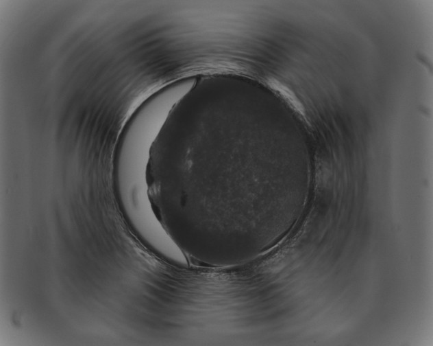 X0000091181226200709060947