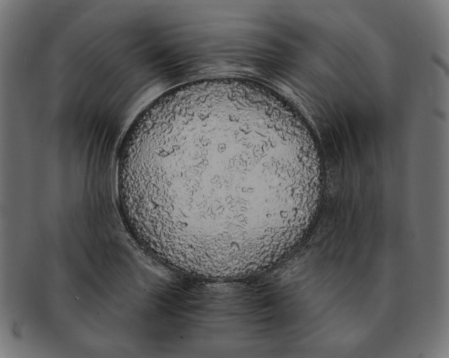 X0000091181227200709060947