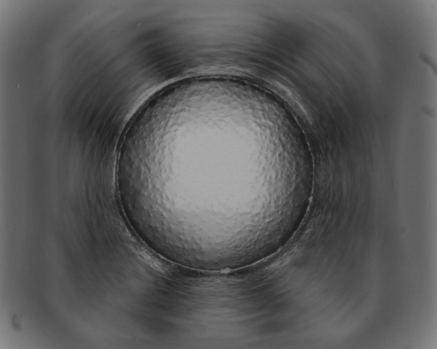 X0000091181228200709060947