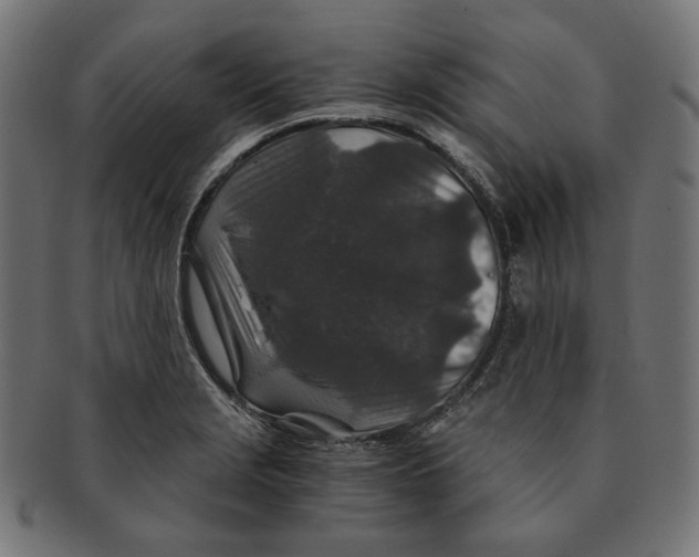 X0000091181229200709060947