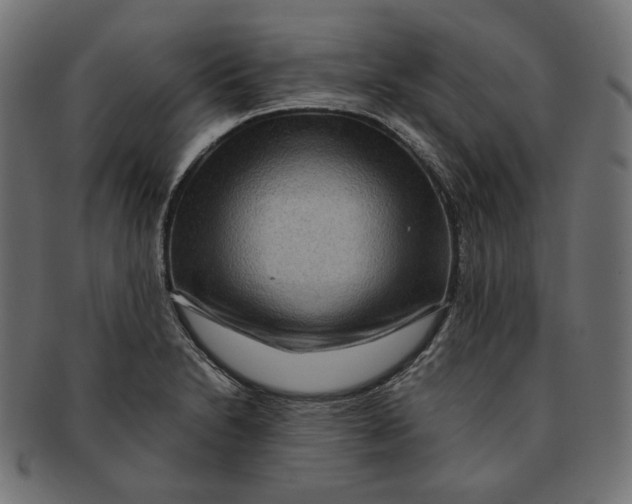 X0000091181230200709060947