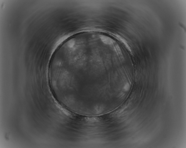 X0000091181231200709060947