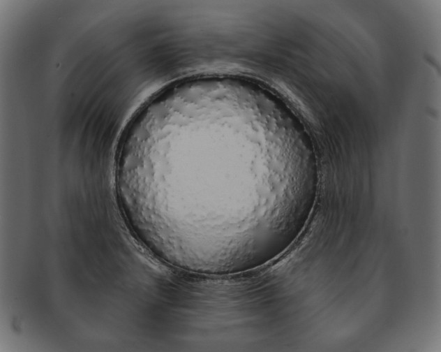 X0000091181232200709060947