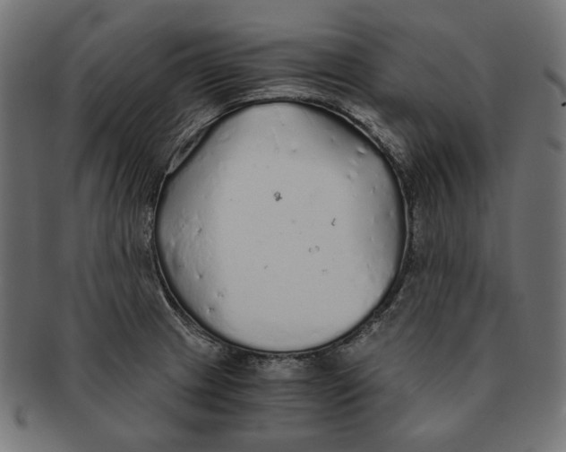 X0000091181233200709060947