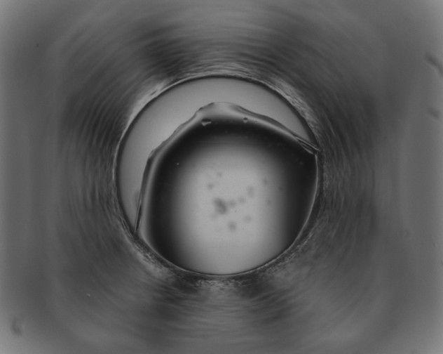 X0000091181234200709060947