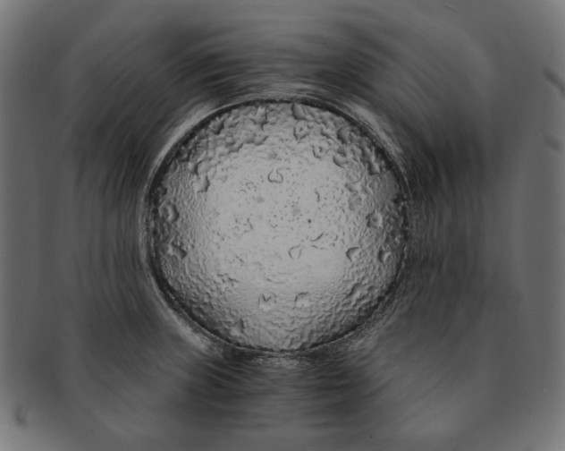 X0000091181235200709060947
