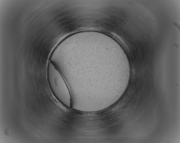 X0000091181236200709060947