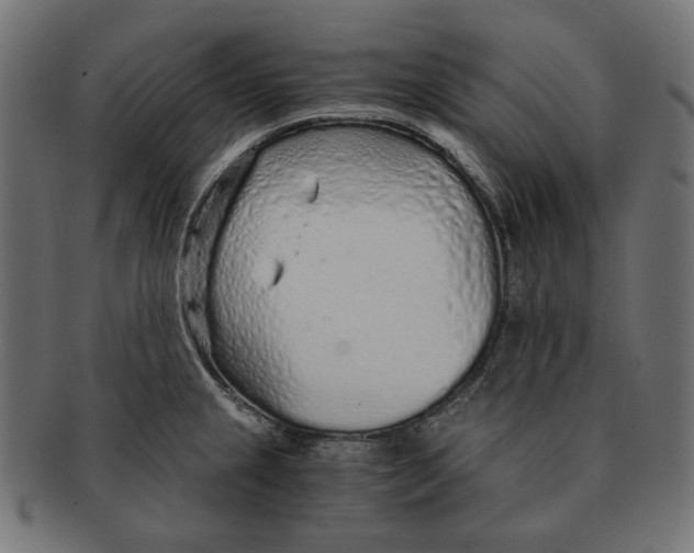 X0000091181237200709060947