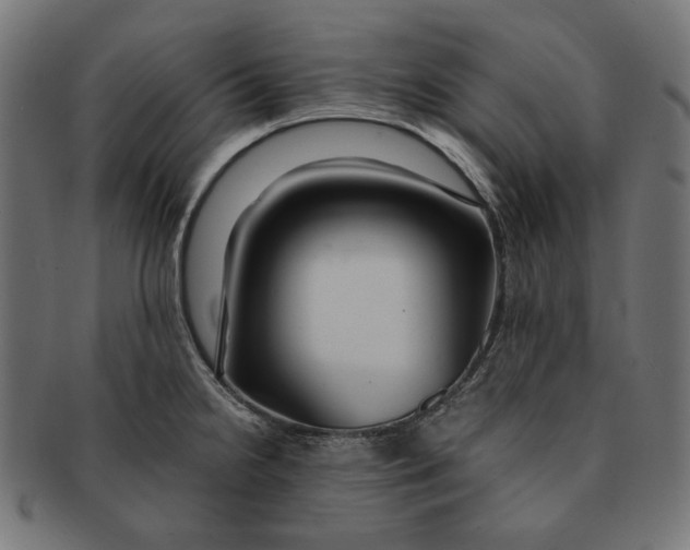X0000091181238200709060948
