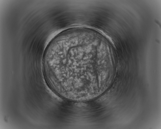 X0000091181239200709060948