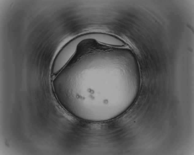 X0000091181240200709060948