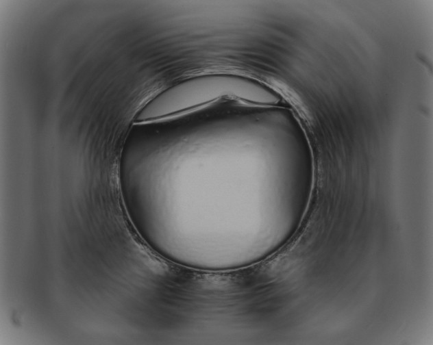 X0000091181241200709060948
