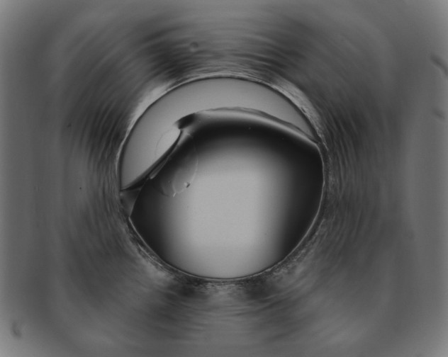 X0000091181242200709060948