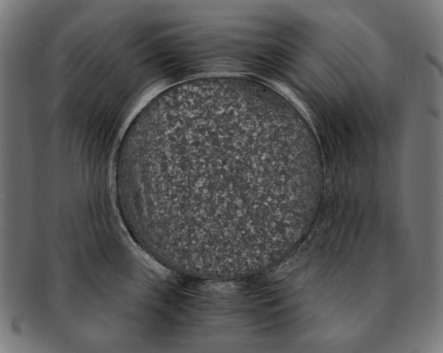 X0000091181243200709060948