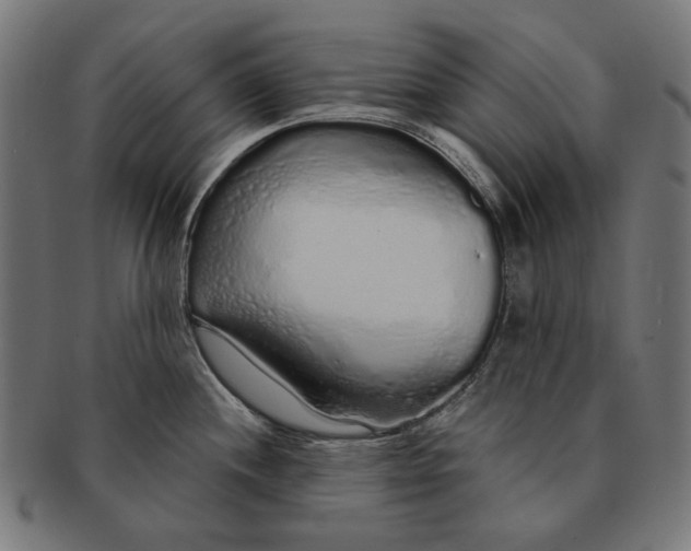 X0000091181244200709060948