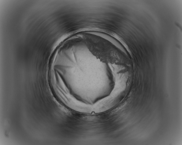 X0000091181245200709060948