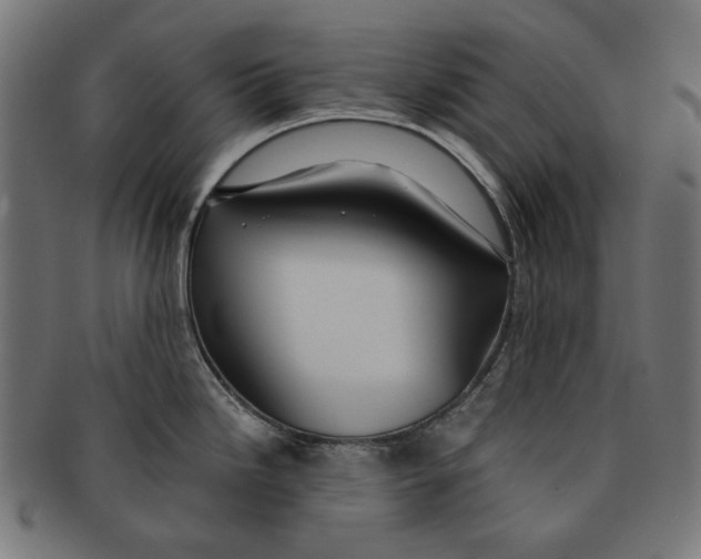 X0000091181246200709060948