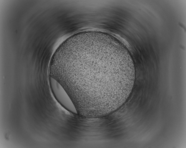 X0000091181247200709060948