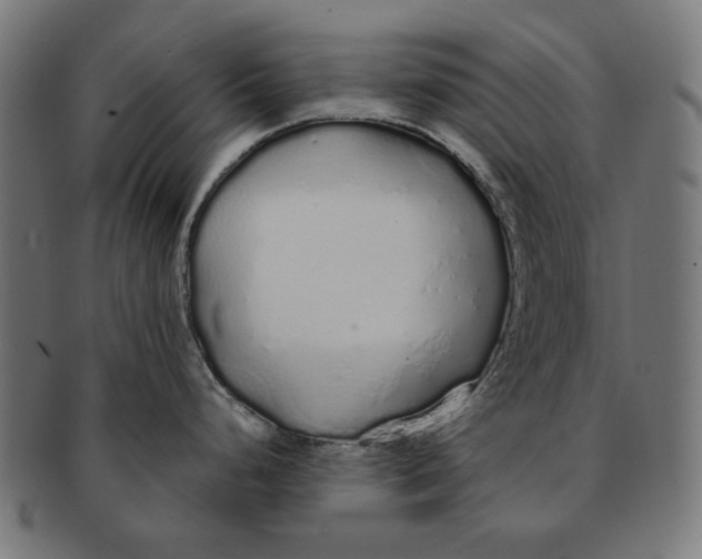 X0000091181248200709060948