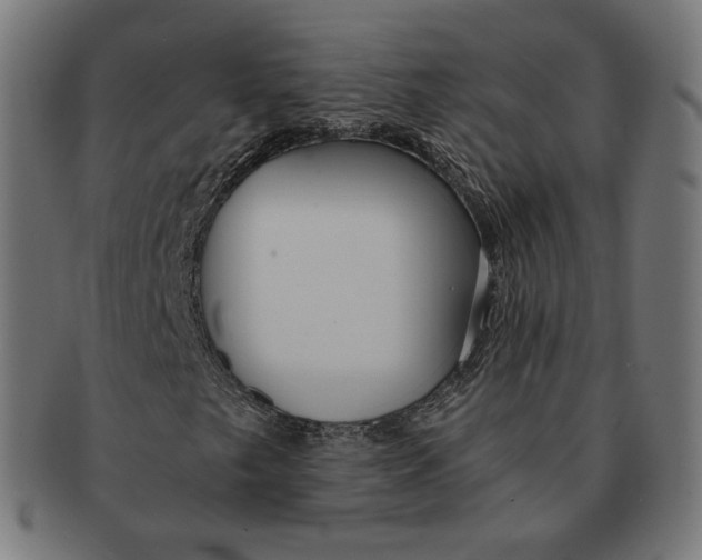 X0000091181249200709060947