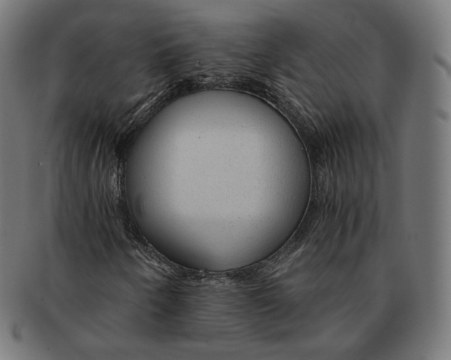 X0000091181250200709060947