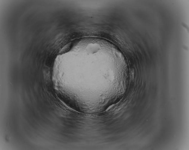 X0000091181251200709060947