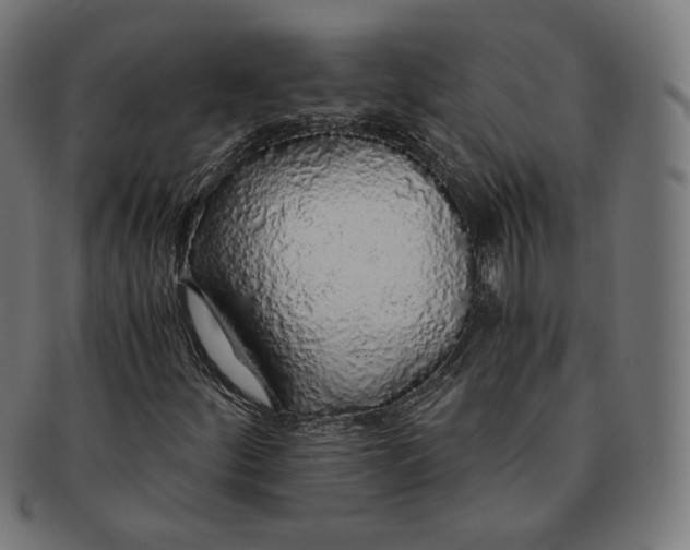 X0000091181252200709060947