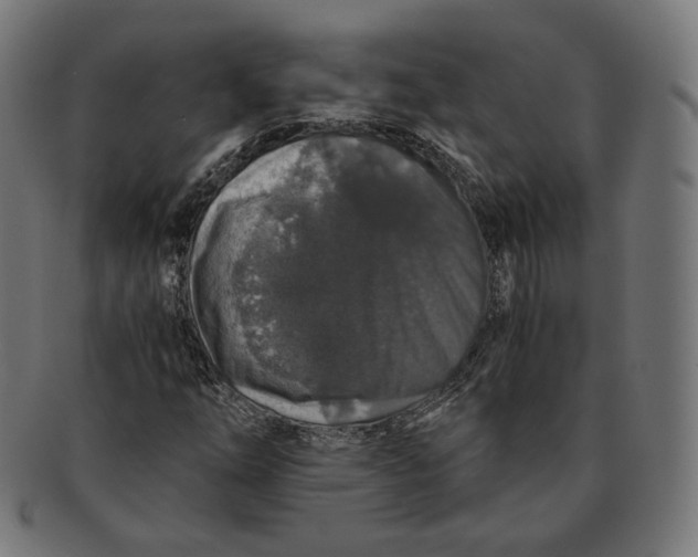 X0000091181254200709060947