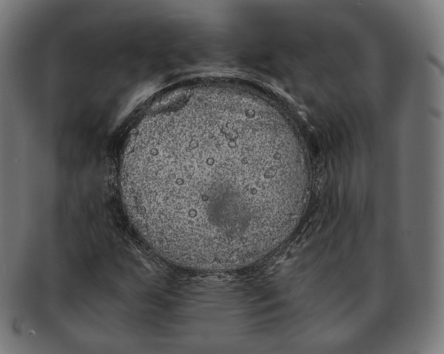 X0000091181255200709060947