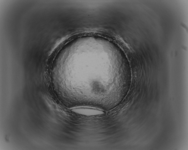 X0000091181256200709060947