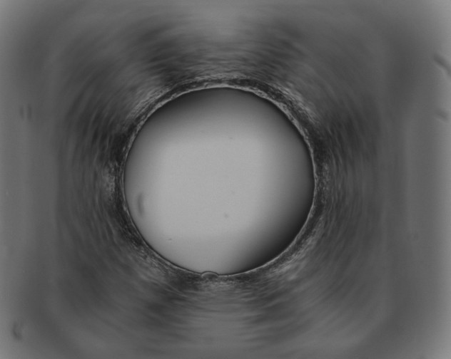 X0000091181257200709060947