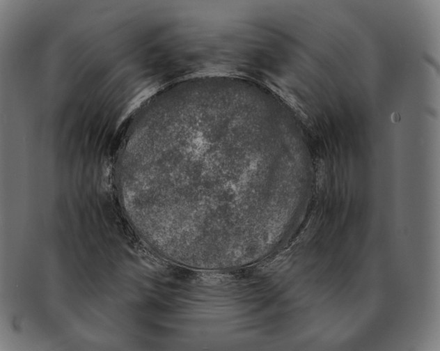 X0000091181258200709060947