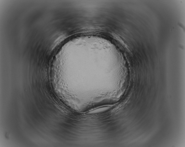 X0000091181259200709060947