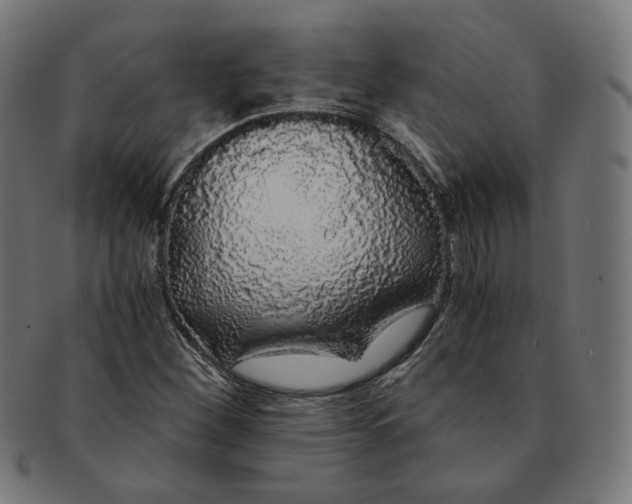 X0000091181260200709060947