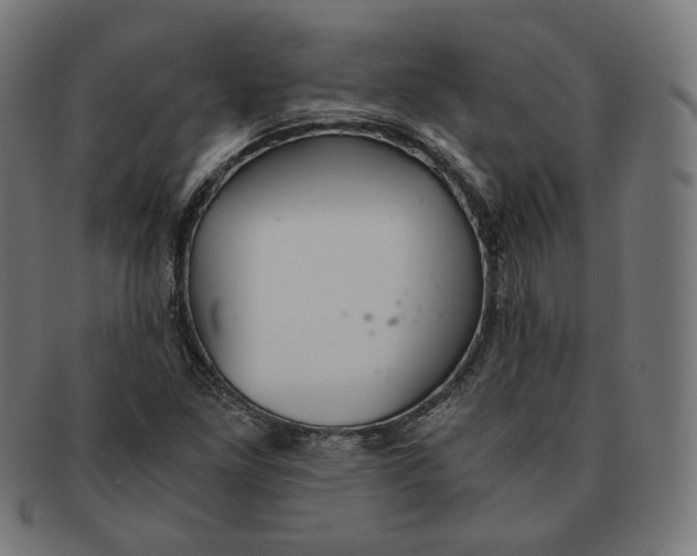 X0000091181261200709060947